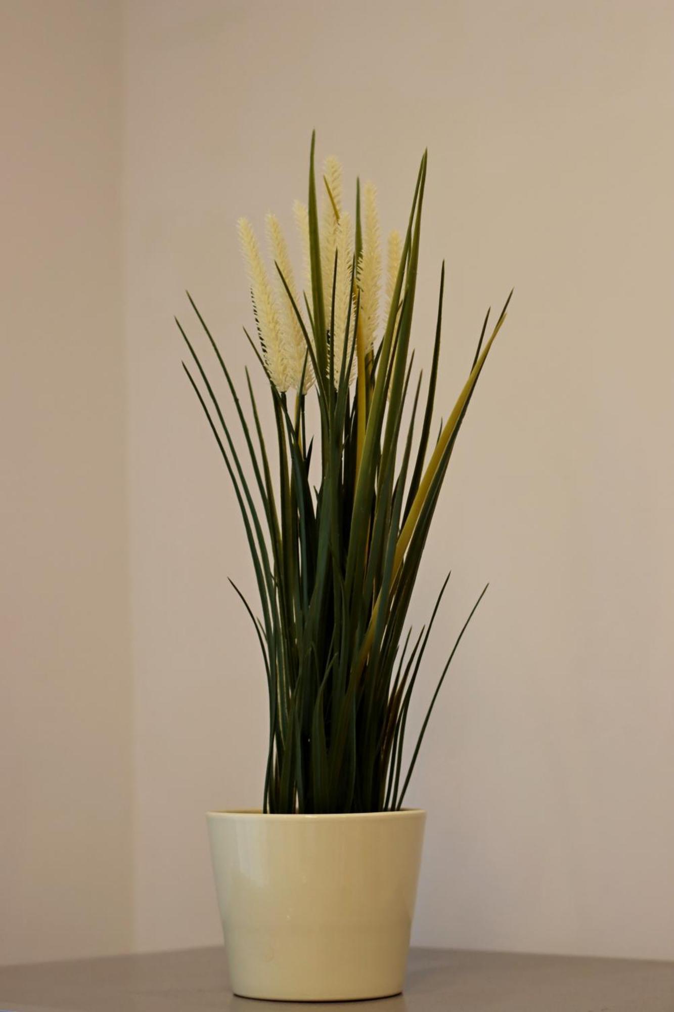 בוקרשט Muse Residence Downtown מראה חיצוני תמונה